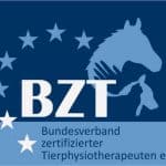 BZT Logo 2011 150x150 1