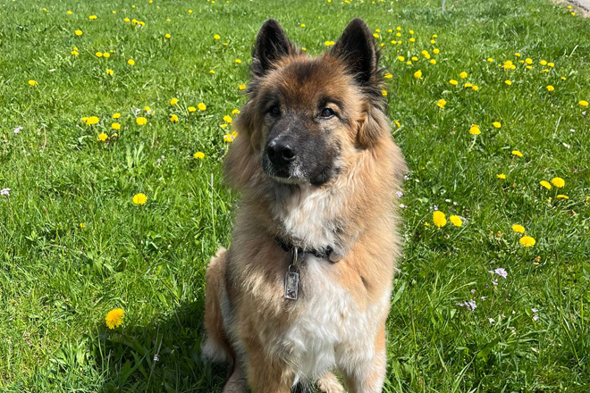 FORTBILDUNG BUCHEN 11 Fall 28.08