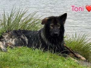 Fall Toni Nov 2025.jpg