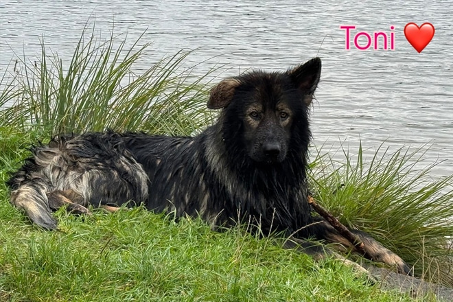 Fall Toni Nov 2025.jpg