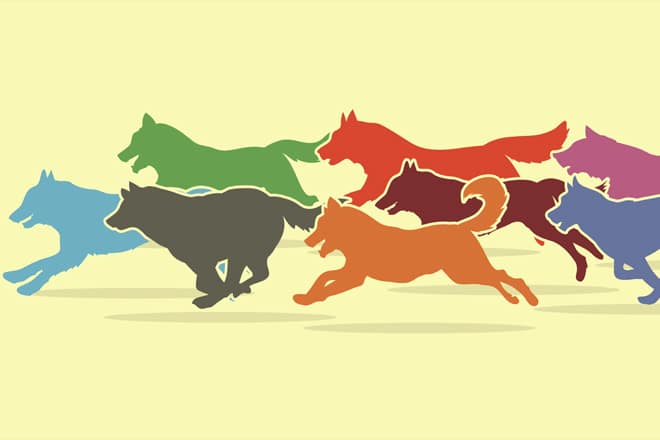 Fortbewegung funktionelle 2