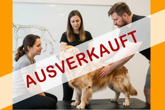 Palpation Ausverkauft